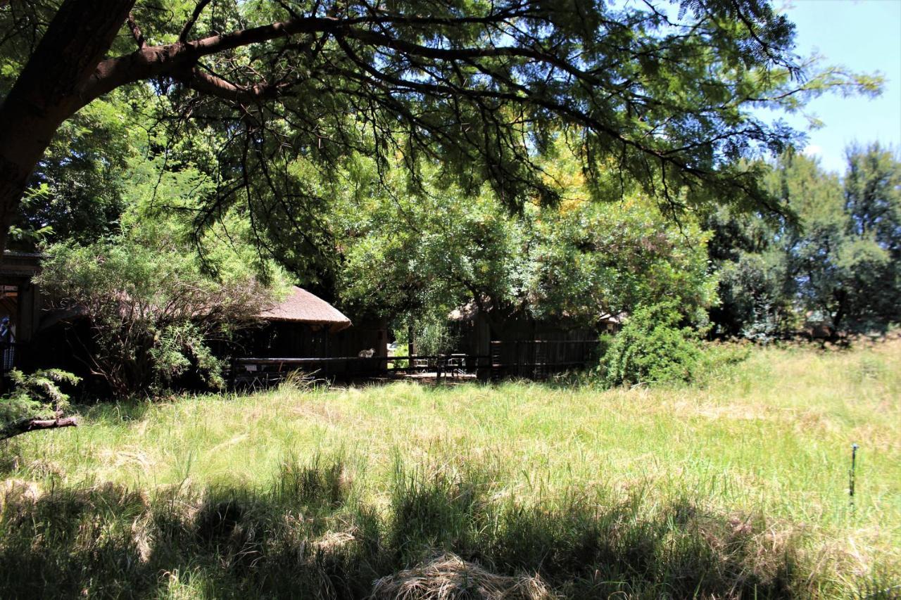 Ikamu'S Lodge Germiston Zewnętrze zdjęcie